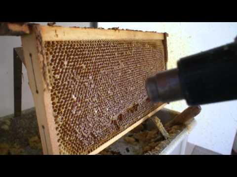 Youtube: Honigschleudern