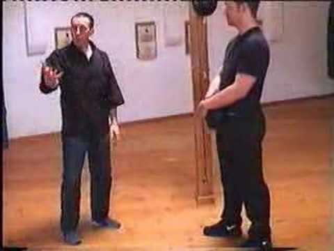 Youtube: Martial arts - JKD - jeet kune do (21 movimientos)