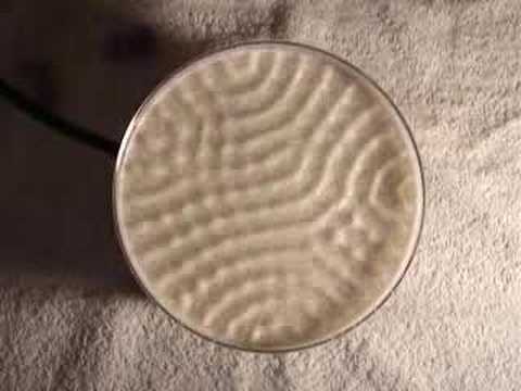 Youtube: Cornstarch at 35-55hz