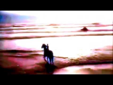 Youtube: Forseti ~ Sei Nun Still