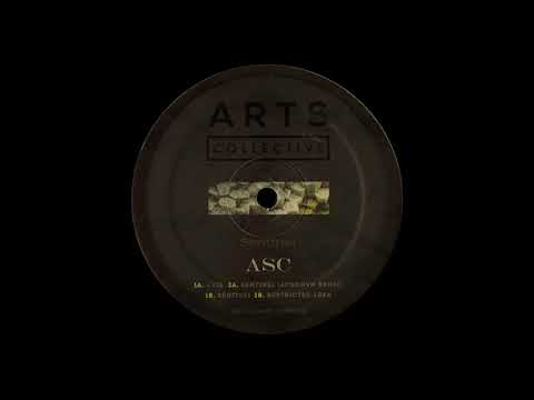 Youtube: ASC - Sentinel [ARTSCOLLECTIVE20]