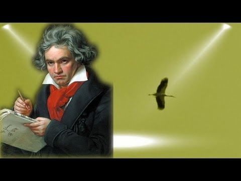 Youtube: Beethoven - Symphony No. 5 - Symphonie Nr. 5 Ludwig van Beethoven - 5th Symphony