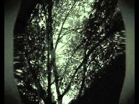 Youtube: The Psychocandies - You feel the sun (I kiss the floor)