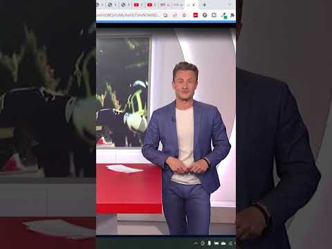 Youtube: Genderwahn beim WDR oder was zum Teufel ist eine #Krankenschwesterin? #shorts