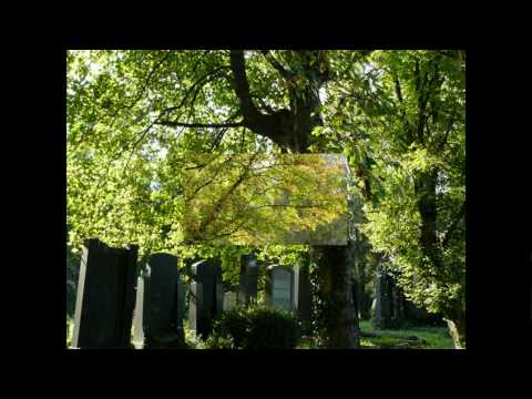 Youtube: Wolfgang Ambros - Es lebe der Zentralfriedhof - LIVE