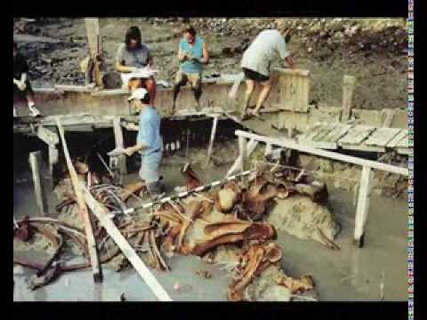 Youtube: Unglaublich grösste menschliche Skelette der Welt