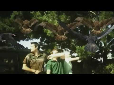 Youtube: Birdemic-The most epic scene ever filmed