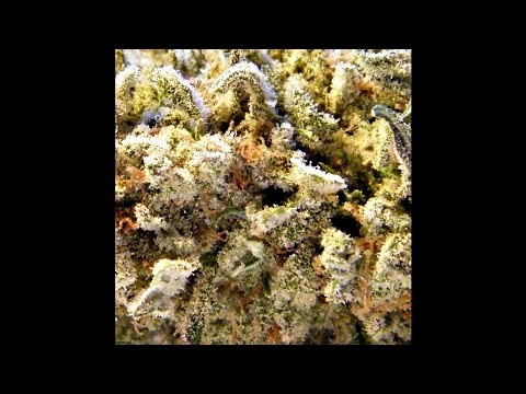 Youtube: Dope Smoker "Marijuana" (New Full Album 2016) Stoner/Doom/Grunge