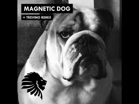 Youtube: Alan Fitzpatrick - Magnetic Dog (FULL TRACK)