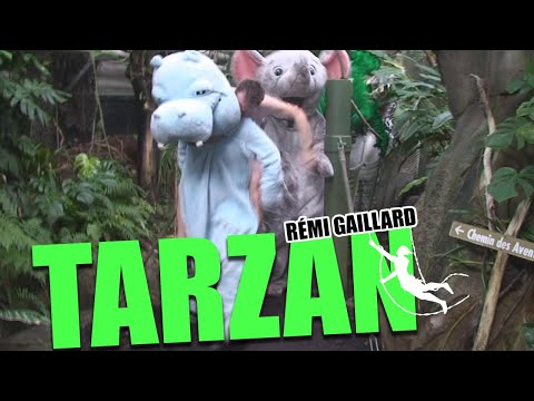 Youtube: TARZAN (REMI GAILLARD) 🐘