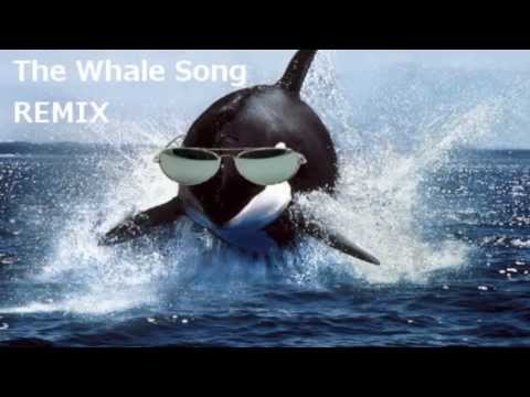 Youtube: Whale Song Remix