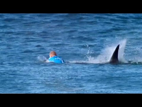 Youtube: Surfer fights off great white shark mid-competition