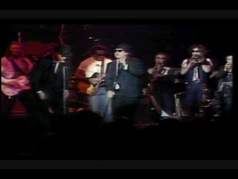 Youtube: The Blues Brothers Live Video - Soul Man