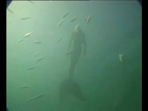 Youtube: Mermaid filmed in Australia