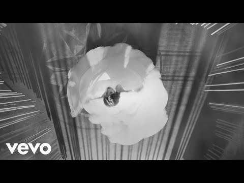 Youtube: Patrick Watson - Melody Noir (Official Video)
