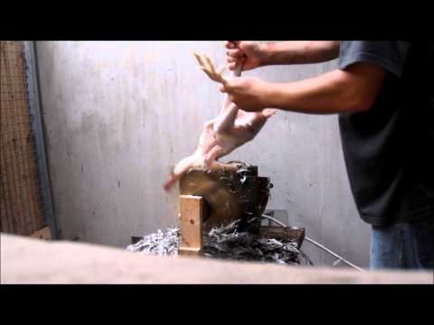 Youtube: Chicken Plucker (Hühnerrupfmaschine)