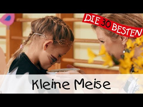 Youtube: 👩🏼 Kleine Meise - Singen, Tanzen und Bewegen || Kinderlieder