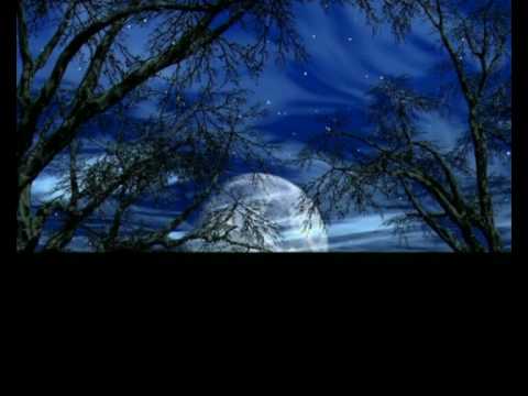 Youtube: David Garrett - Clair de Lune