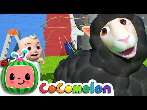 Youtube: Baa Baa Black Sheep | @CoComelon Nursery Rhymes & Kids Songs