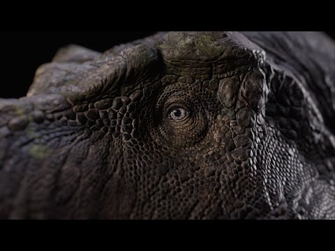 Youtube: When You Hear The Most Realistic T.Rex Sounds...