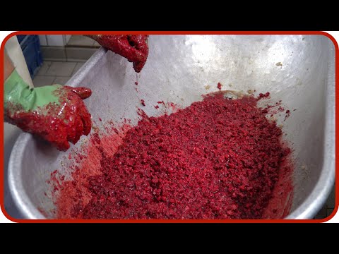 Youtube: So wird Blutwurst wirklich gemacht