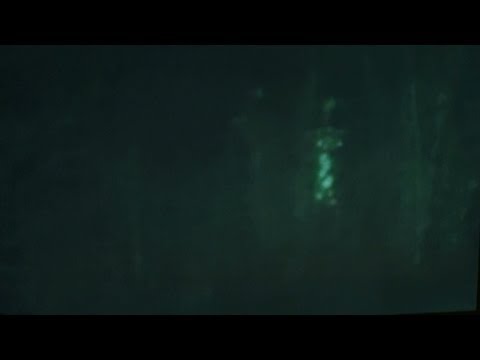 Youtube: Real Alien Sighting 16 : Two 7ft Reticuli Greys !! Spooky