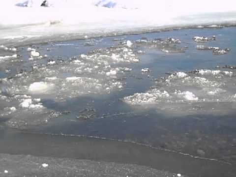 Youtube: Eisbrocken schwimmen auf der Breg bei Extremkälte