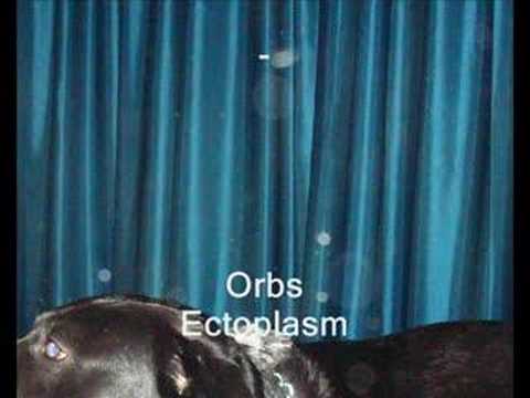 Youtube: Ectoplasm Orbs