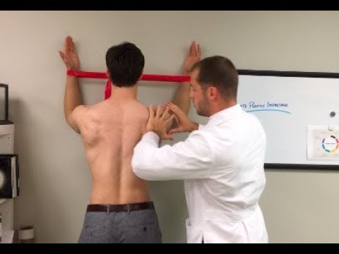 Youtube: E:33 - Wall Slides - Retrain Your Shoulder Blades!