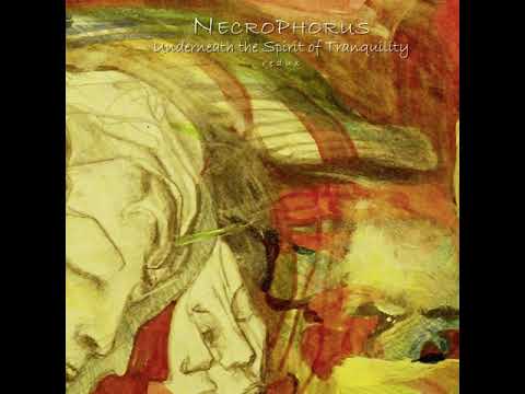 Youtube: Necrophorus - In Silence