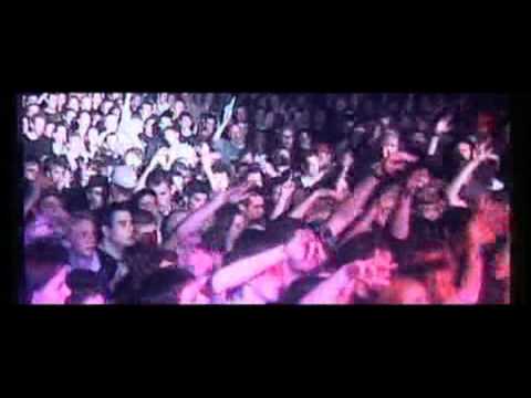 Youtube: Beginner - Fuechse Live 2003