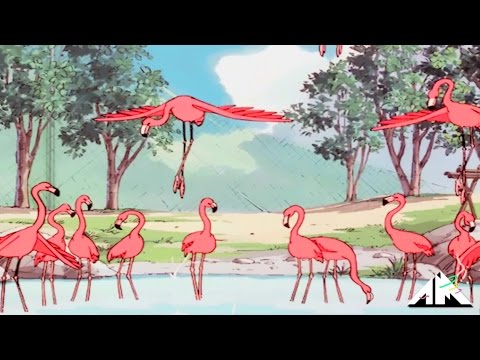 Youtube: Flamingosis - Flight of The Flamingo