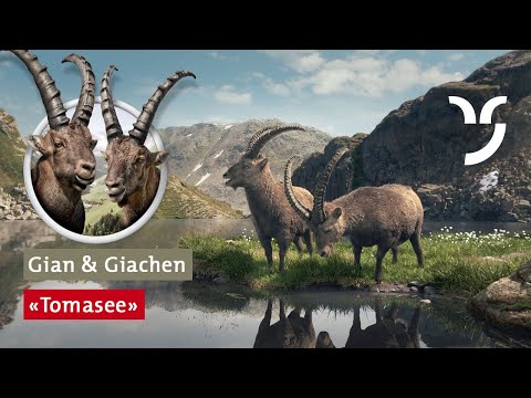 Youtube: Steinbock-Spot „Tomasee“ mit Gian und Giachen