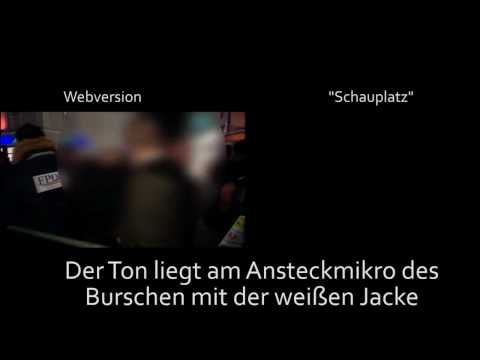 Youtube: Tonanalyse - ORF-Nazi-Statisten "Am Schauplatz"