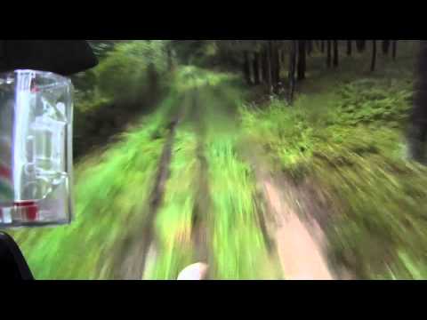 Youtube: Classic Enduro Dachsbach 2013 Teil 1