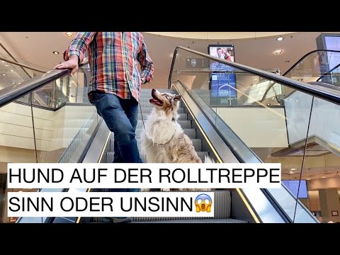 Youtube: Santa fährt Rolltreppe