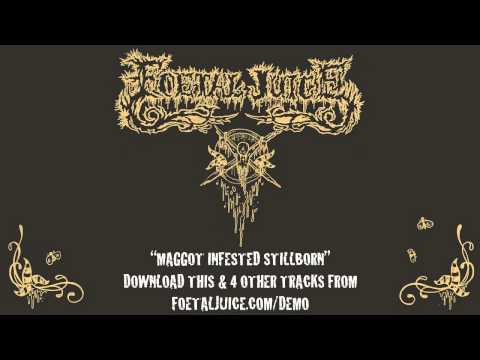 Youtube: Foetal Juice - Maggot Infested Stillborn [Full Audio]