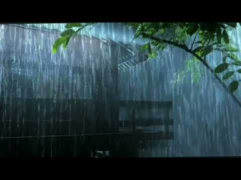 Youtube: Relaxing rain sounds for sleeping 20 minute