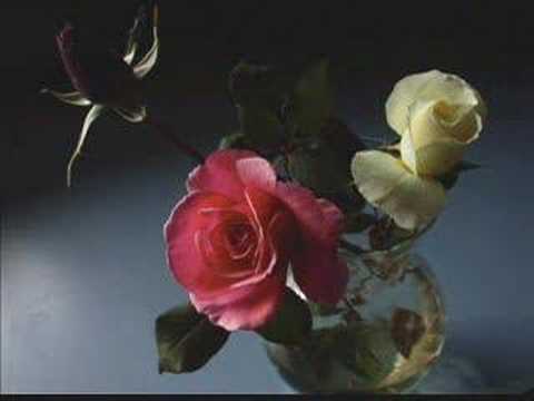 Youtube: Enya - China Roses