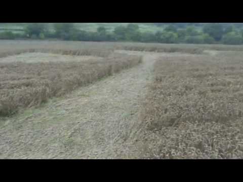 Youtube: Crop Circles 2009 - Morgan's Hill and Ogbourne 05-08-09