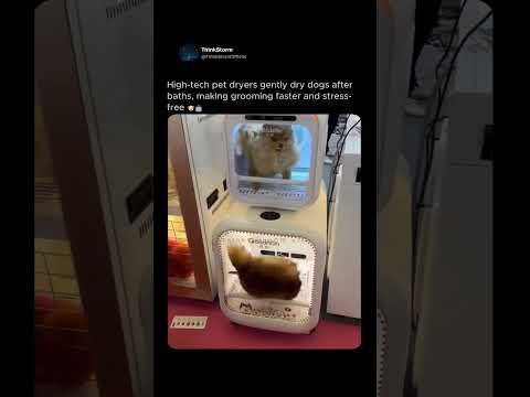 Youtube: High-Tech Pet Dryers 🐶 See How These Machines Dry Dogs Safely & Comfortably #shorts