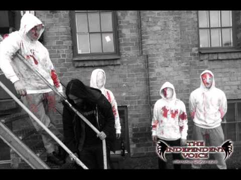 Youtube: Vanhelga - Vardagsnytt (lifelover cover)