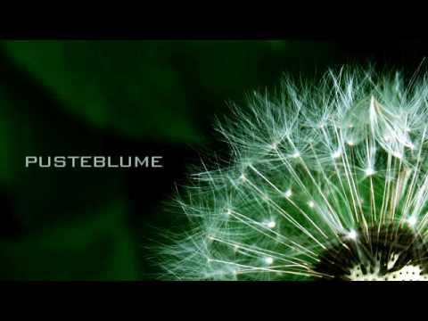 Youtube: Jaques Raupé - Pusteblume (Club Mix)