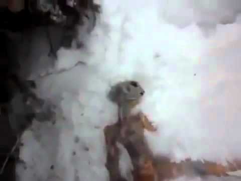 Youtube: Dead alien found in UFO like Area 51 at  Buryatia Russia  -  April 2011