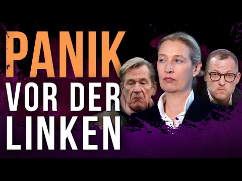 Youtube: Die AfD zittert wegen Berlin: So kommt jetzt das AfD-VERBOT!