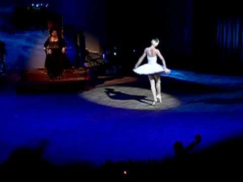 Youtube: 瀕死の白鳥　ザハロワ The Dying Swan Svetlana Zakharova