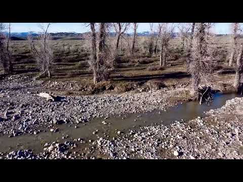 Youtube: Gabby Petito’s route from her campsite to the place she was found at ground level. The next Spring.