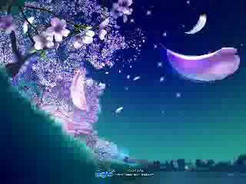 Youtube: jia peng fang-cherry blossoms