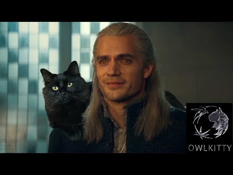 Youtube: If Geralt had a Cat (OwlKitty + Witcher)