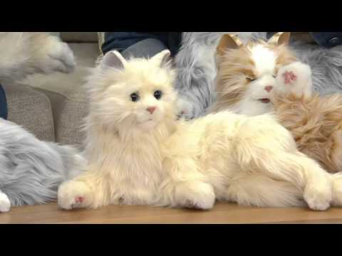 Youtube: Hasbro's Lifelike Joy for All Companion Cat By: Hasbro on QVC